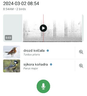 Screenshot of the Merlin Bird ID app